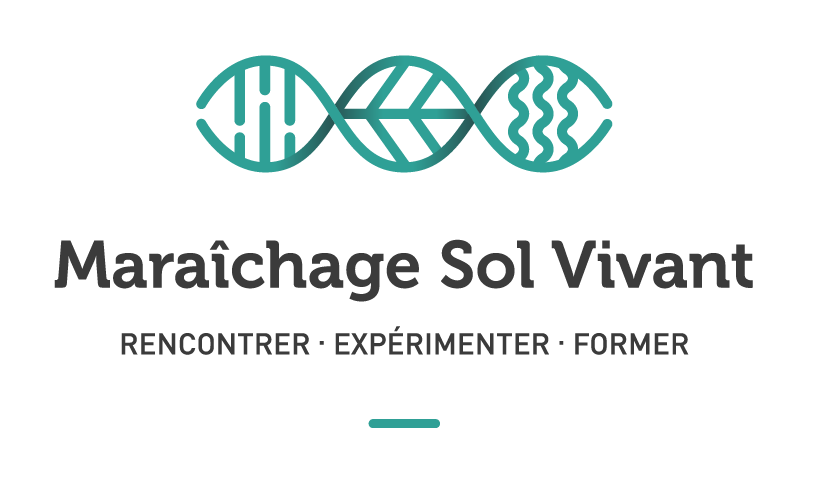 logo MSV