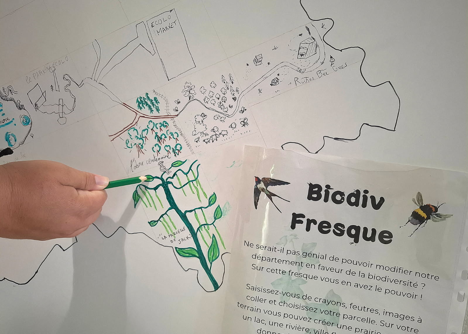 Biodiv'fresque
